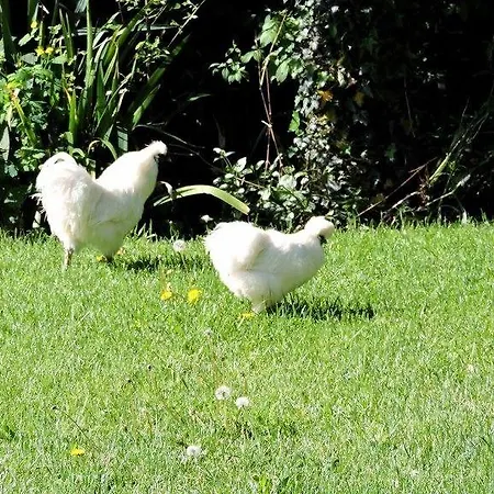 La Gourmandine Hotel