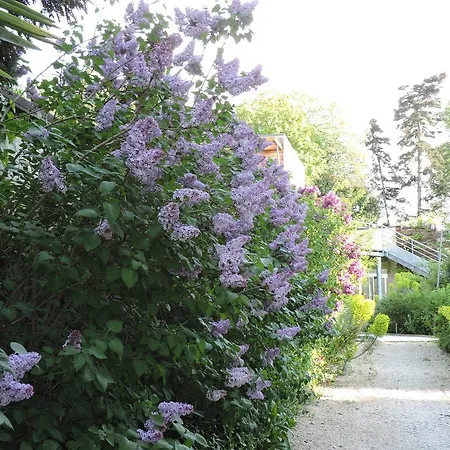 La Gourmandine Hotel 3*