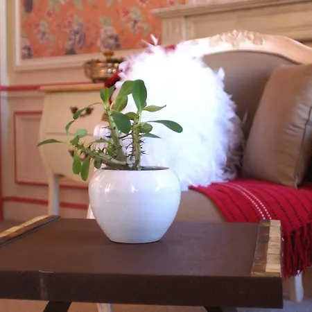 Hotel La Gourmandine 3*