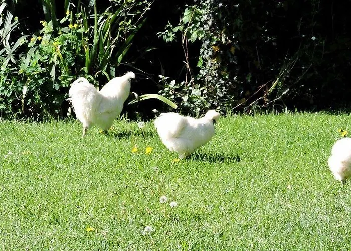 La Gourmandine Hotel